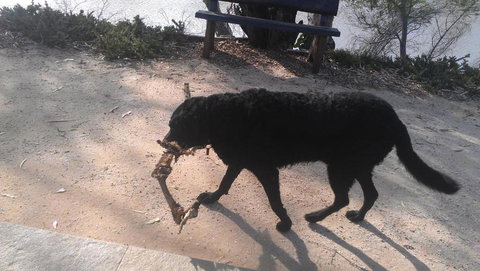 Captains Cottage Bed & Breakfast - Accommodation QLD 6