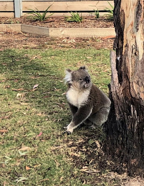 Ingenia Holidays Murray Bend - Accommodation QLD 2