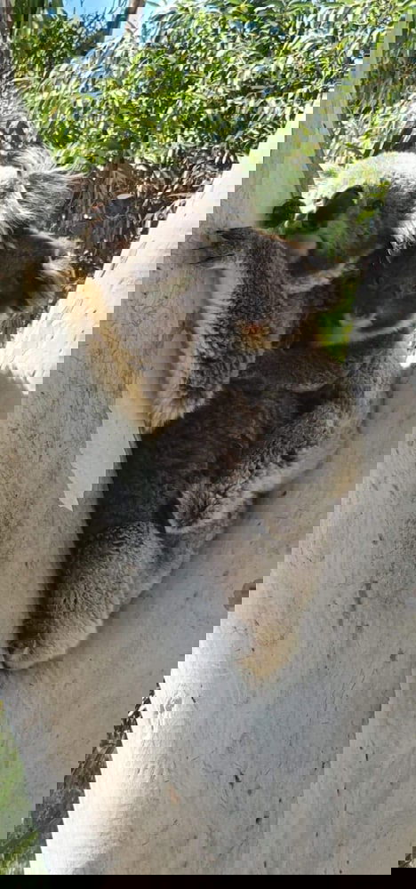 Ingenia Holidays Murray Bend - Accommodation QLD 3