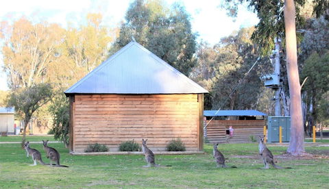 Ingenia Holidays Murray Bend - Accommodation QLD 1