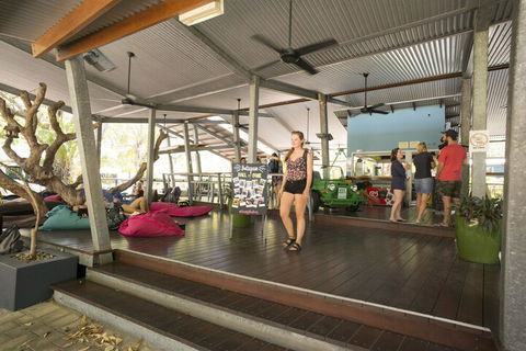 Bungalow Bay Koala Village - Hostel - Accommodation QLD 4