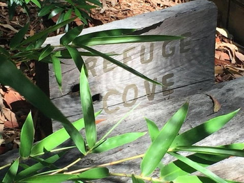 Refuge Cove On Pittwater - Accommodation QLD 5