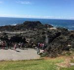 Sea Whispers - Accommodation QLD