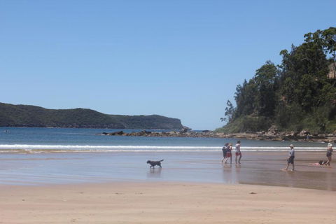 Ocean Beach Cottage - Accommodation QLD 5