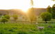 Glen Waverly Farmstay - thumb 6