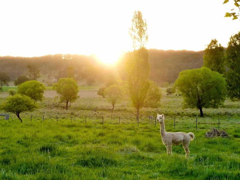 Glen Waverly Farmstay - Accommodation QLD 6