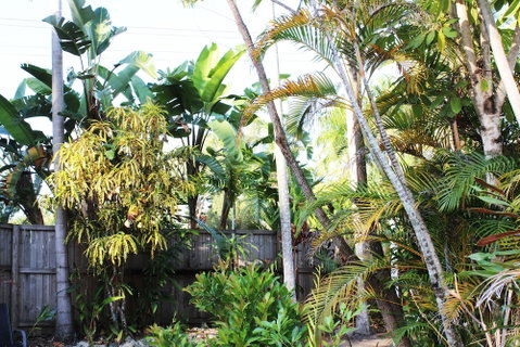 Coral Beach Lodge - Accommodation QLD 1