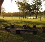 Wallaby Cottage cute Accom in bushland setting - Accommodation QLD