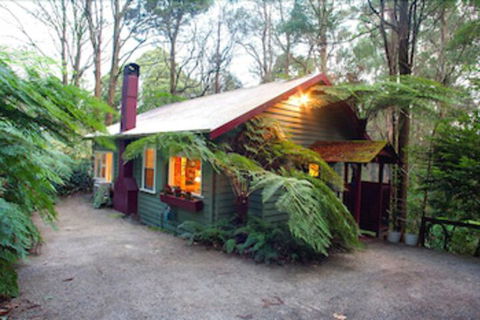 A Cottage In The Forest - Accommodation QLD 0