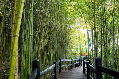 Kims Beachside Retreat - Accommodation QLD 2