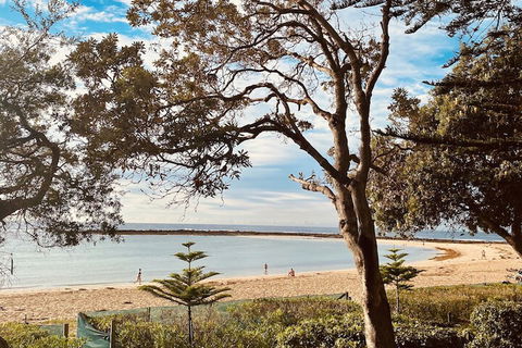 Kims Beachside Retreat - Accommodation QLD 1