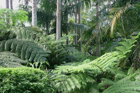 Amore Mt Tamborine - Accommodation QLD 1