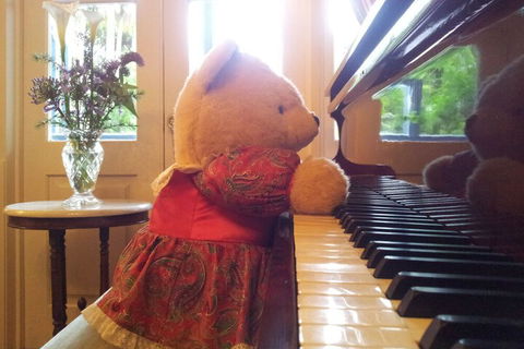 Amore Mt Tamborine - Accommodation QLD 4