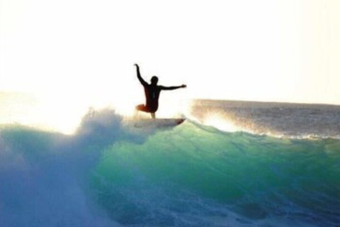 Nautilus Retreat - Accommodation QLD 7