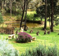 Countryside Connections Tranquil Studio - Accommodation QLD