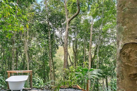 Wanggulay Treetops Cairns City - Accommodation QLD 7