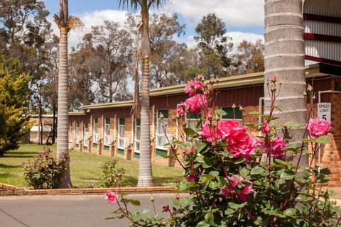 Manjimup Motor Inn - Accommodation QLD 1