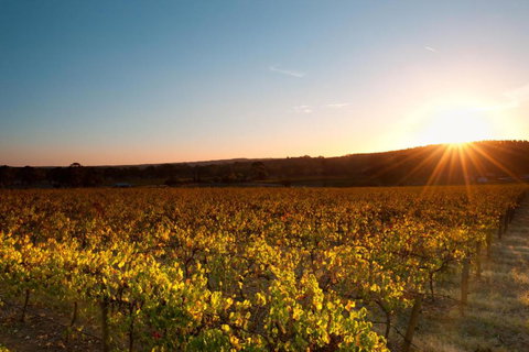 Linfield Cottage - Accommodation QLD 5