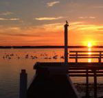 Bayview Boathouse - Accommodation QLD