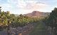 Nightingale Luxury Villas - thumb 0