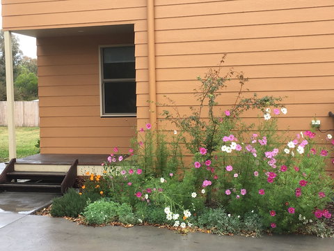 The Nest At Gundaroo - Accommodation QLD 0