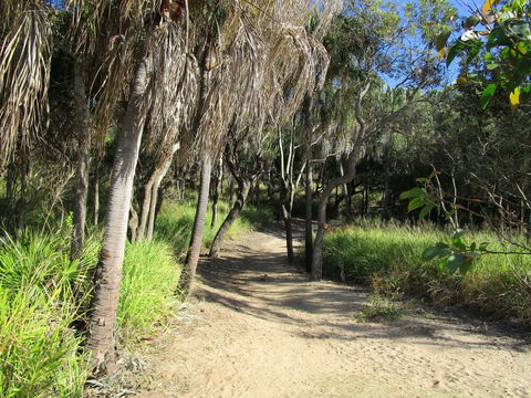 The Lovely Cottages Country Retreat - Accommodation QLD 5