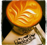 Blackbird Cafe - Accommodation QLD