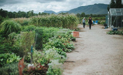 Margan Restaurant - Accommodation QLD 6