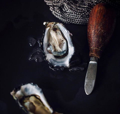 Shuck - Accommodation QLD 4