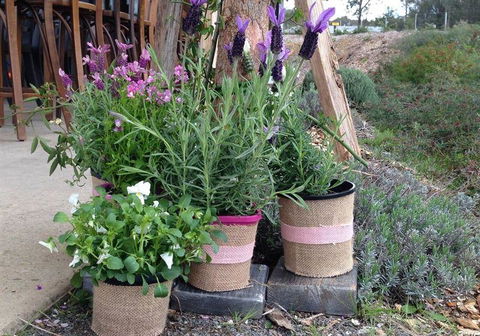 Amongst The Sticks - Accommodation QLD 1