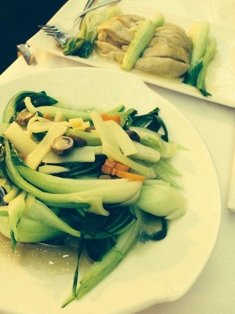 Xanadu On Collins - Accommodation QLD 1