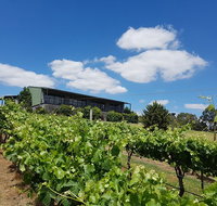 Traralgon Vineyard