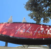 Fish Fetish - Accommodation QLD