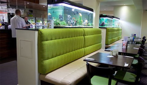 Carriers Arms Hotel Motel - Accommodation QLD 1