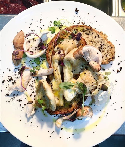 Crest Birubi Beach - Accommodation QLD 12