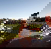 Gapsted Wines - Accommodation QLD