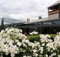 Isabella's Restaurant at Rochford Wines - Accommodation QLD