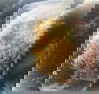 Noodle Dynasty - Accommodation QLD