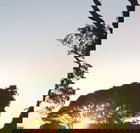 Mallacoota Golf  Country Club