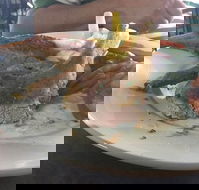 Newmarket Hotel - Accommodation QLD