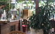 Uderwood Cafe - thumb 0
