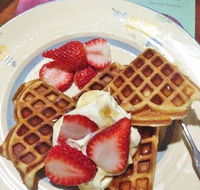 MannaFest Cafe