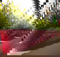 Dinoni - Accommodation QLD