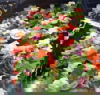 Spuds Fish Moorebank - Accommodation QLD