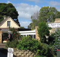 Tipsy Fig - Accommodation QLD