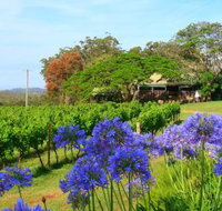 Little Fish Cafe - Accommodation QLD