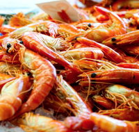 Seafood Works - Accommodation QLD