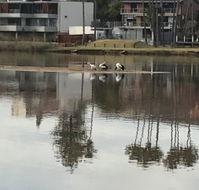 The Melting Room - Accommodation QLD