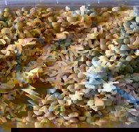 Addil Indian  Kebab Restaurant - Accommodation QLD