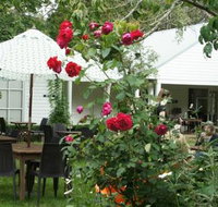 Sturt Coffee - Accommodation QLD